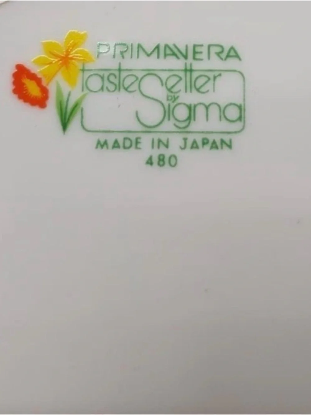 Floral Porcelain Salad/Dessert Plates - White with Multicolor Flowers